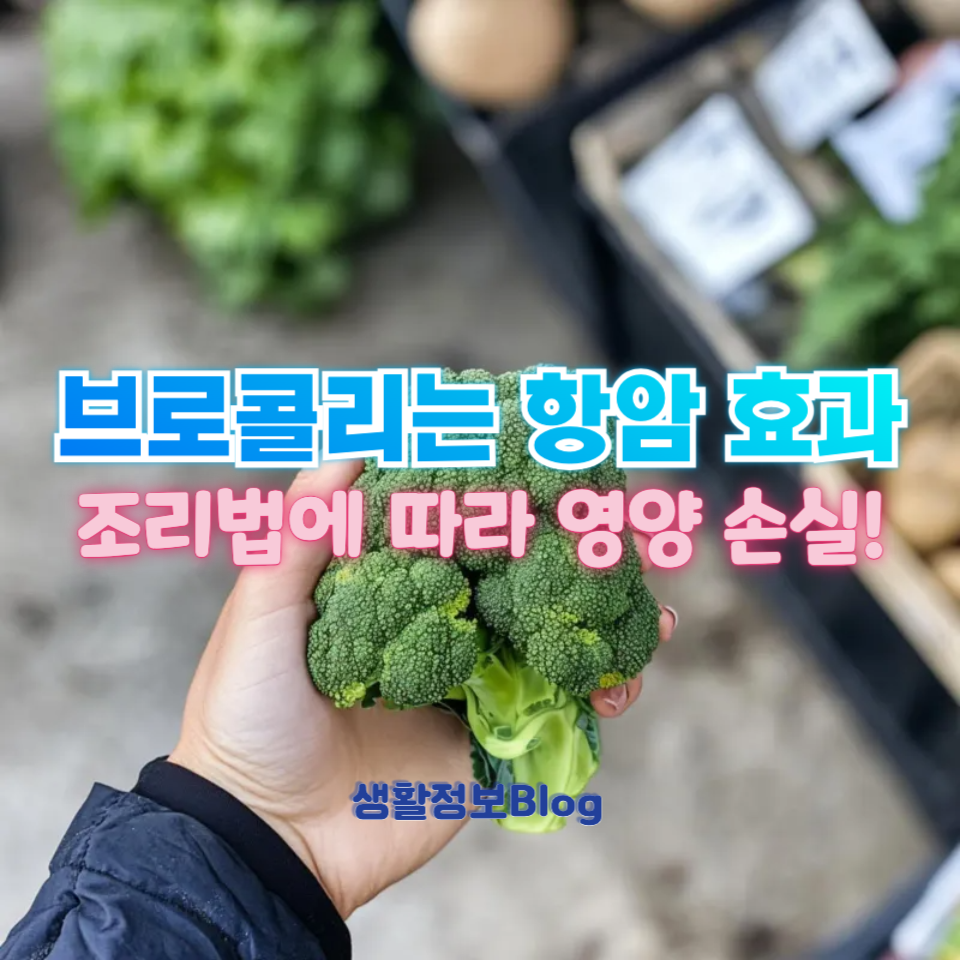 브로콜리는 항암 효과