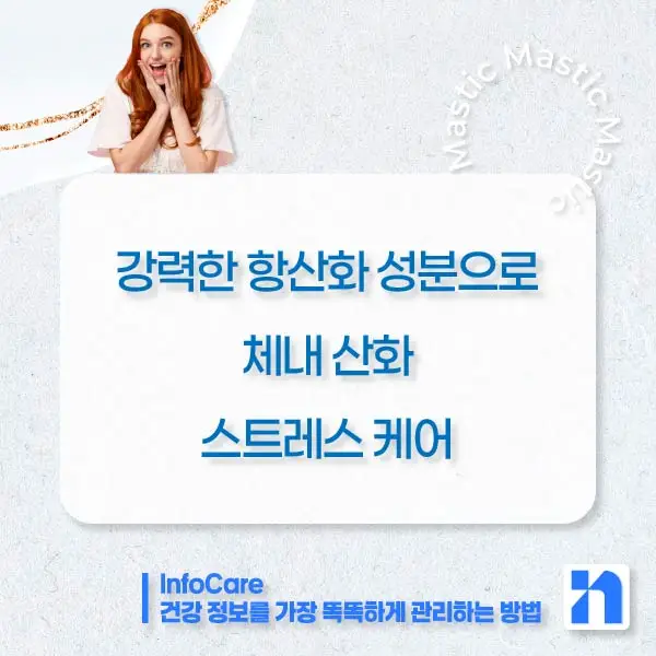 매스틱 매스틱검 효능 효과