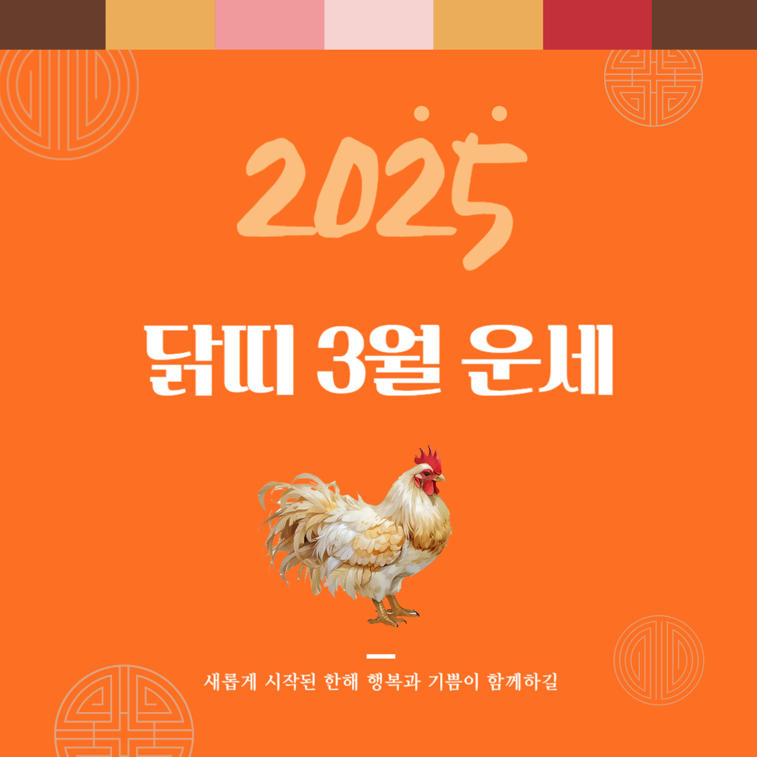 2025년 을사년 『닭띠』 3월 운세