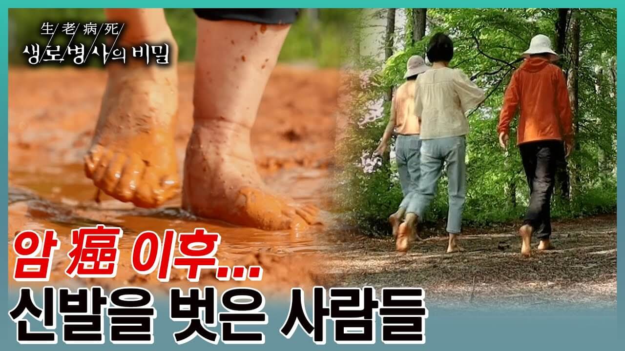 KBS 생로병사의 비밀 맨발 걷기 효능과 부작용