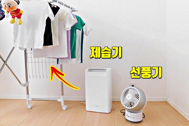 제습기, 건조기, 쉰내나는 빨래, 쉰내나는 수건, 쉰내나는옷, 쉰내 없애는 법, 세탁, 팁줌 매일꿀정보