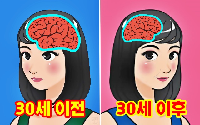 30대 여성 이후 뇌신경 기억력 저하, 건강 팁줌 매일꿀정보