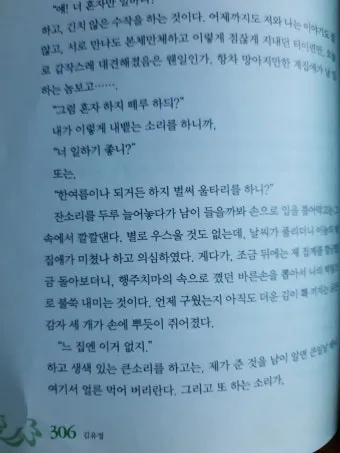 동백꽃 줄거리 김유정 단편소설 춘천_13