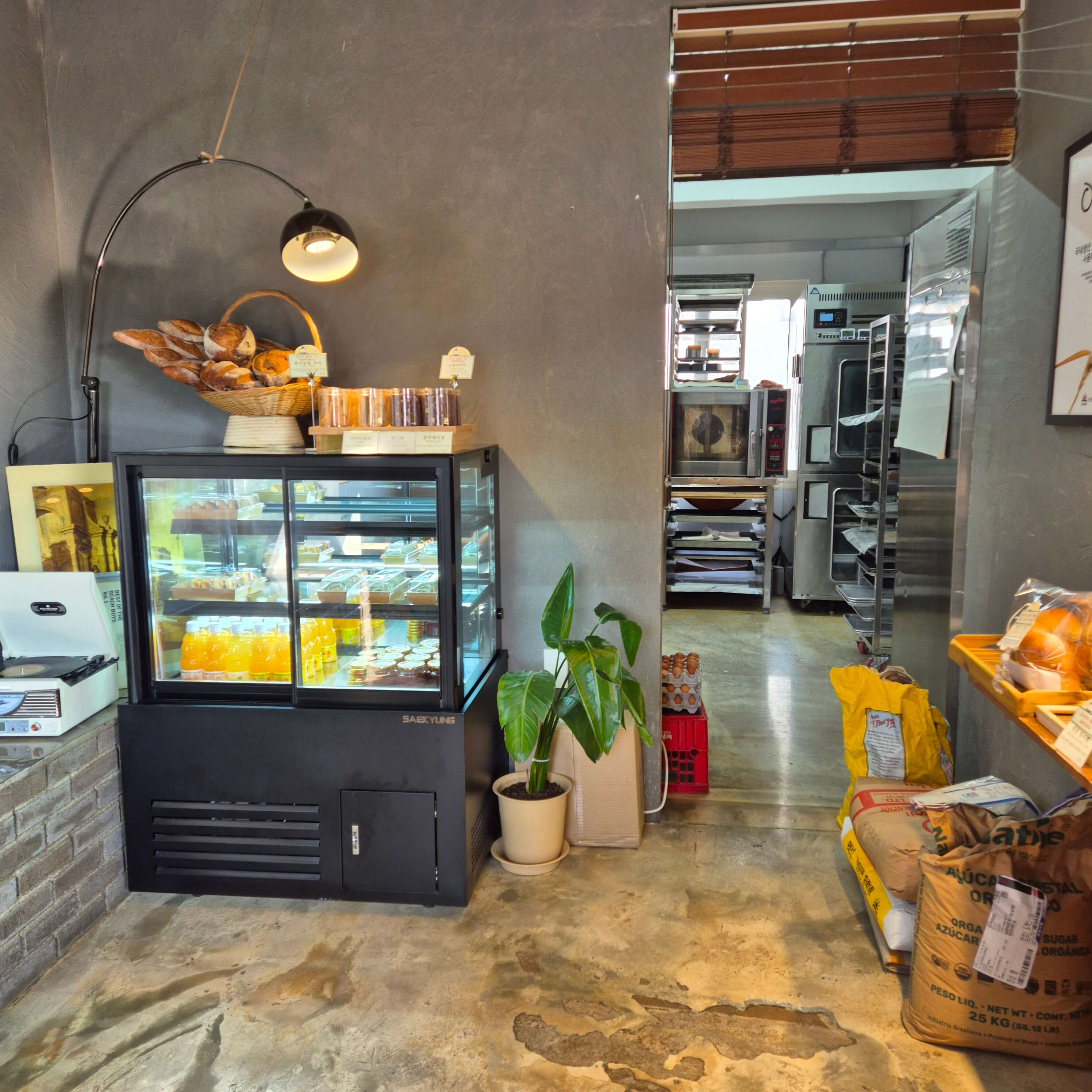 제주 빵지순례, 김녕빵집, 다미안, 미소제빵소