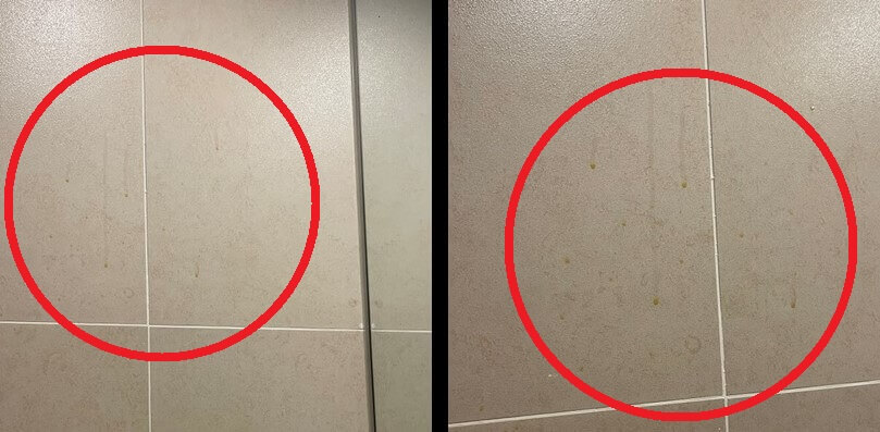 라한호텔-포항-화장실-벽면-얼룩