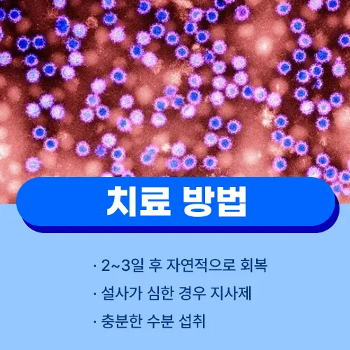 노로바이러스 치료