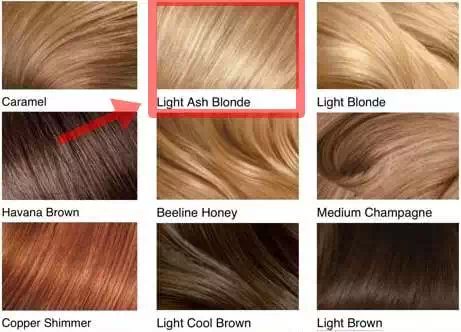 light-ash-color