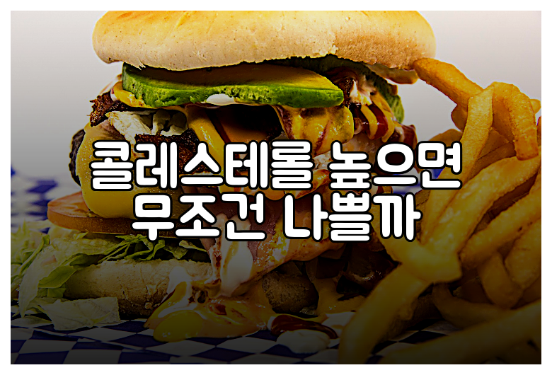 콜레스테롤 높으면 무조건 나쁠까