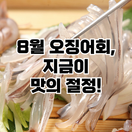 바다 향 가득한 오징어회 한상차림