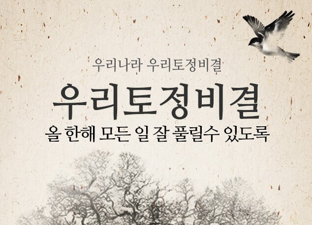 우리 토정비결 보기