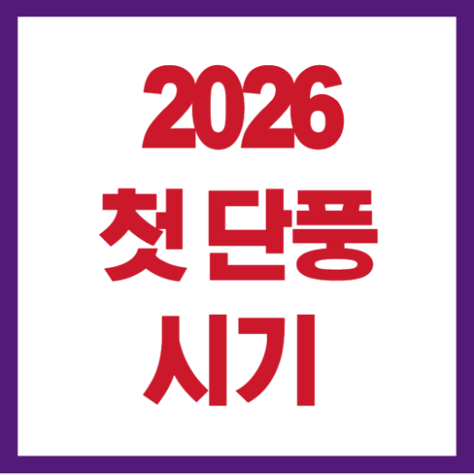 2026 설악산 단풍시기