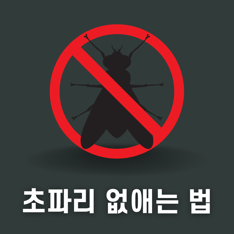초파리 없애는 방법