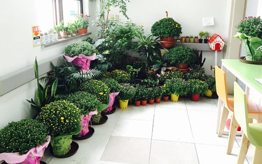 경기도의료원 의정부병원 호스피스 실내정원 사진