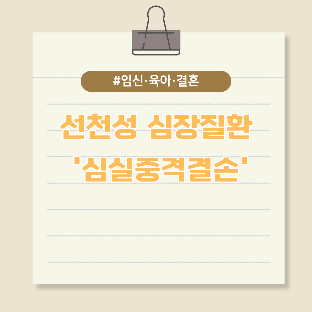 선천성 심장질환 '심실중격결손'