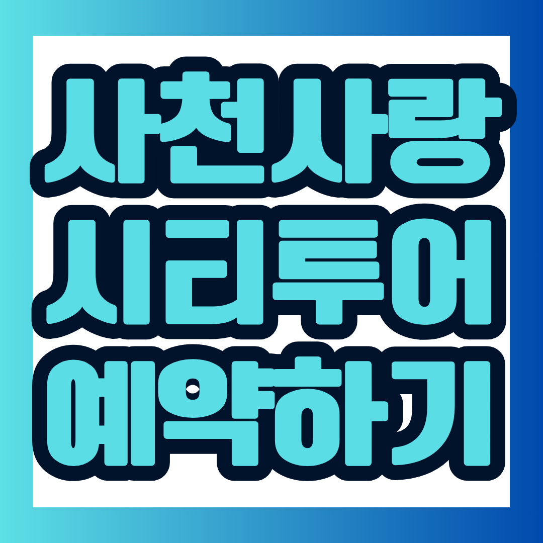 사천 시티투어는 해안 관광뿐 아니라 역사와 체험, 우주항공산업과 전통시장까지 연결해 사천의 다양한 모습을 보여 주는 여행 프로그램입니다.