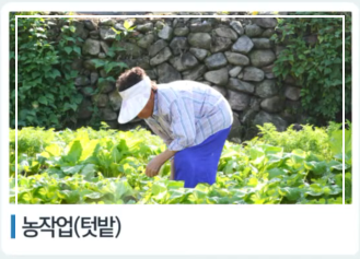 쯔쯔가무시 초기증상 치료방법