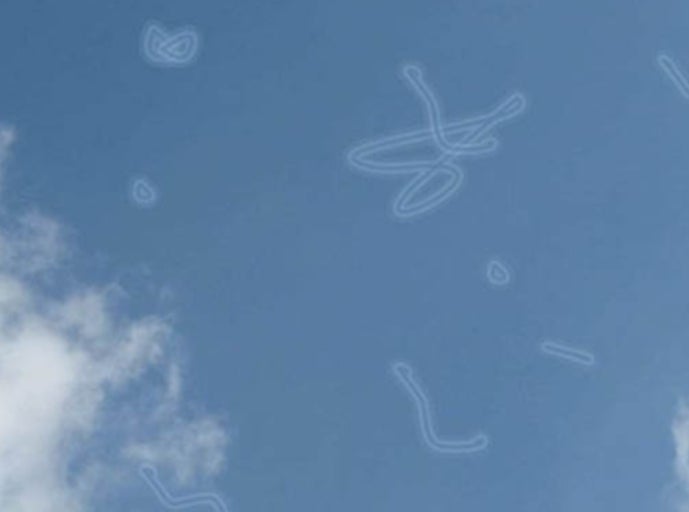 비문증의 치료에 좋은 음식