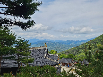 산청한방자연휴양림 여행 정보, 동의보감촌과 숲 풍경을 함께 즐기는 방법