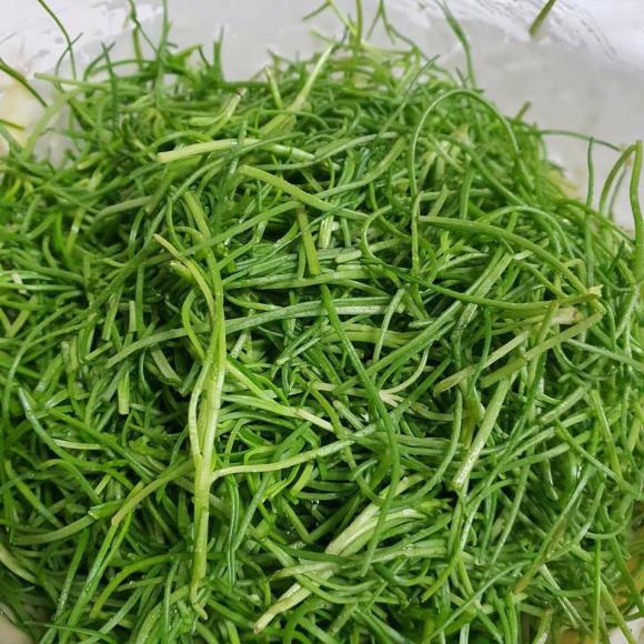 세발나물 효능 및 보관법