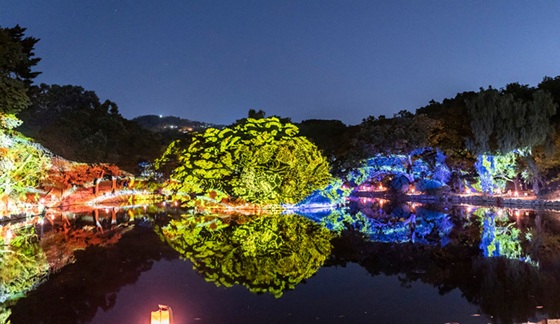 창경궁 물빛연화