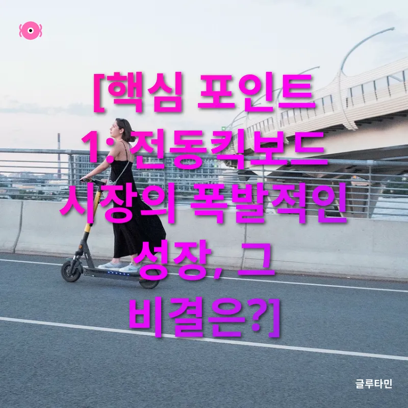 전동킥보드 시장_1