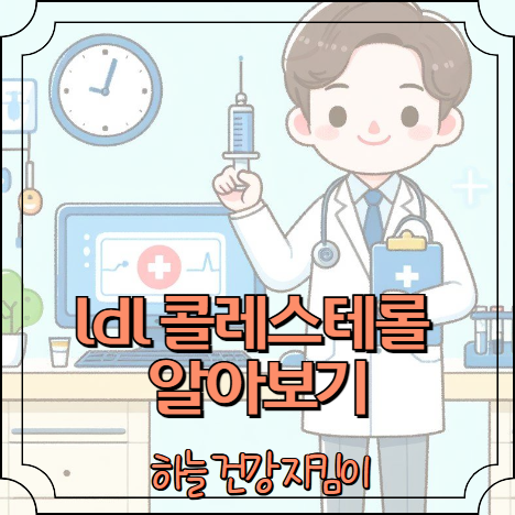 ldl 콜레스테롤 이란?
