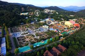 놀유니버스 에버랜드 정기권 365 스탠다드