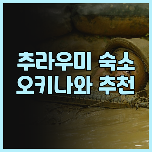 추라우미 수족관 근처 숙소는 어디가