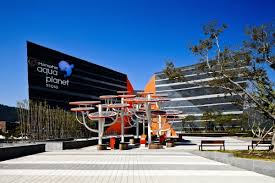 여수 가볼만한곳 - 아쿠아플라넷 여수