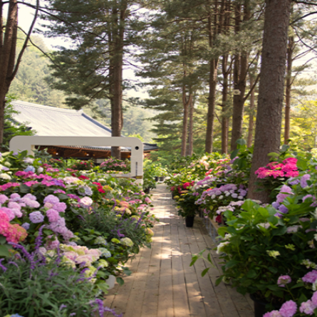 6, 7월 국내 여행지 가평 추천!