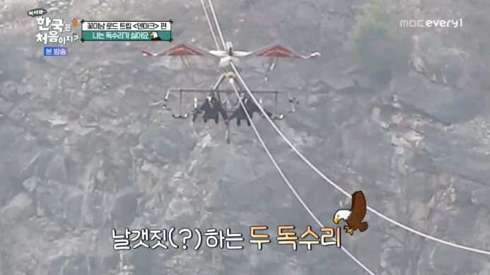 독수리체험