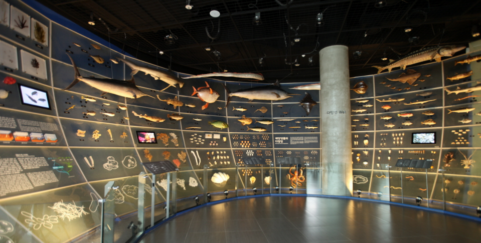 국립해양생물지원관-전시실