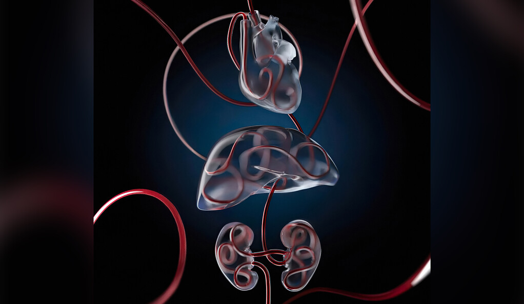 오르간엑스는 죽은 후 돼지의 세포와 장기 기능을 회복