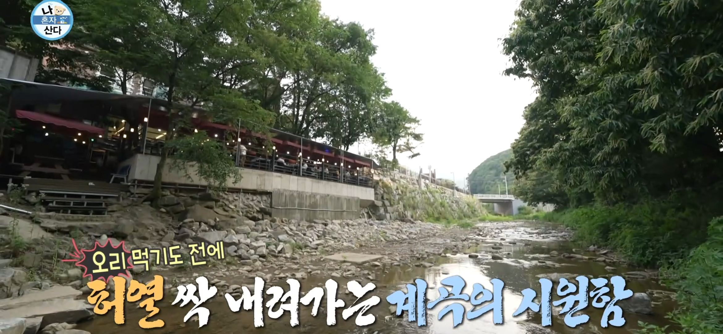 용인 계곡 백숙