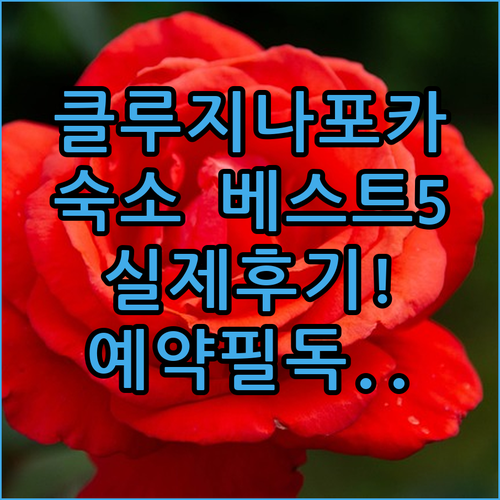 루마니아 클루지 나포카 여행 숙소 베..