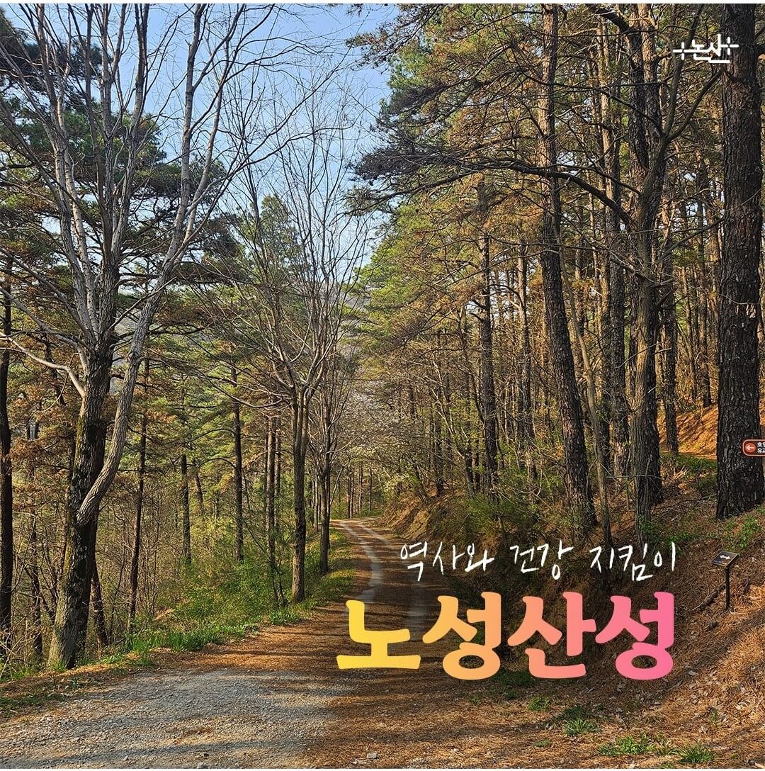 2024 강경 젓갈축제