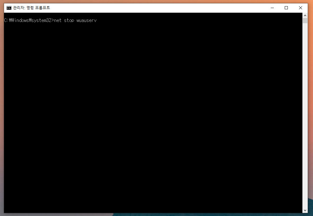 Windows Update 서비스 중지