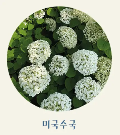 화담숲-홈페이지-예약방법