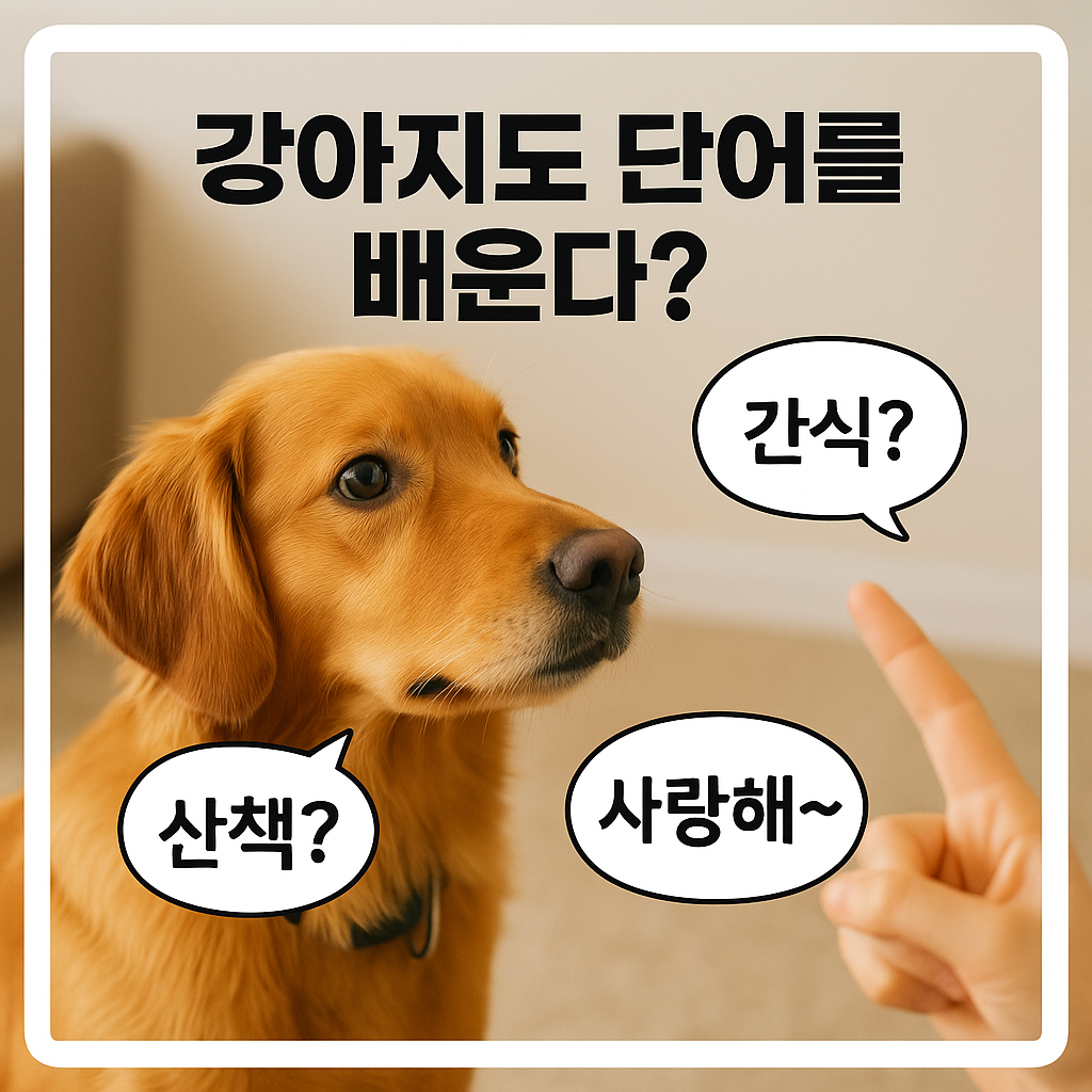 강아지도 단어를 배운다