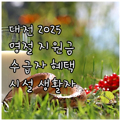 대전광역시 2025년 명절 지원: 수..