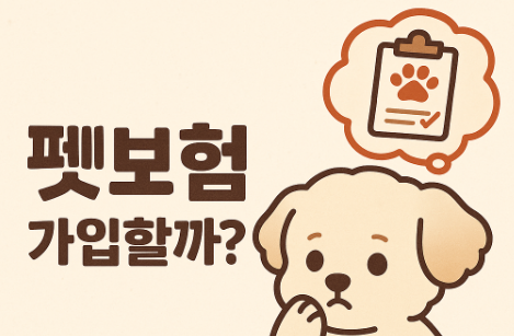 펫보험 강아지보험