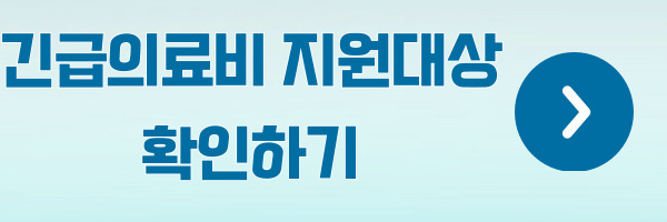 긴급의료비 지원대상 안내-복지로