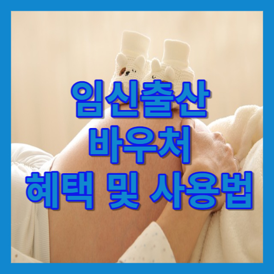 임신출산바우처 소개