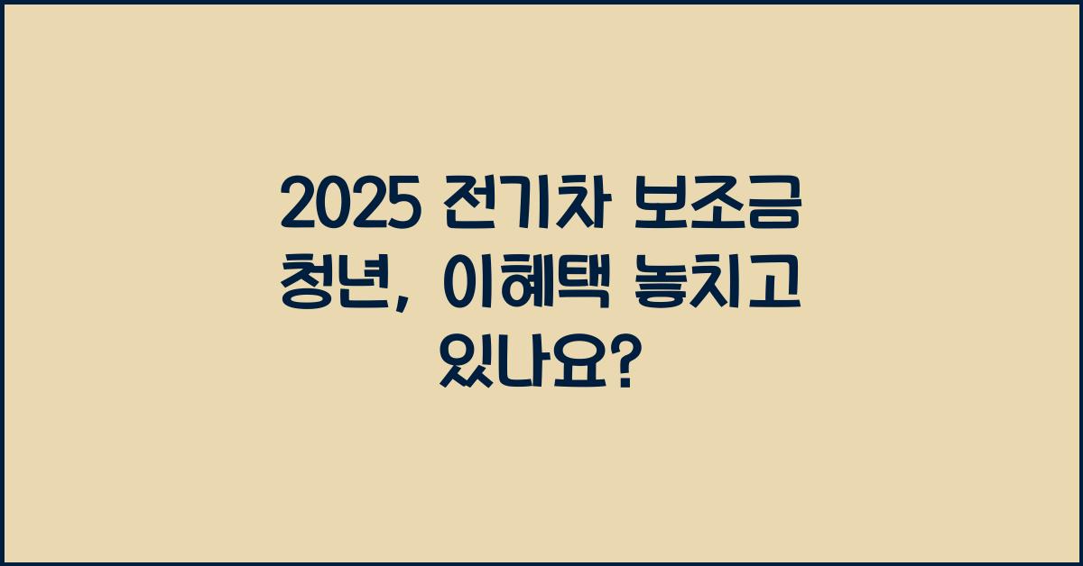 2025 전기차 보조금 청년