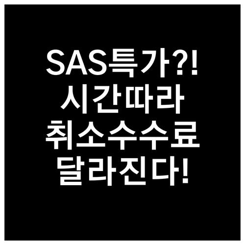 SAS 항공권 취소 수수료 출발 시간..