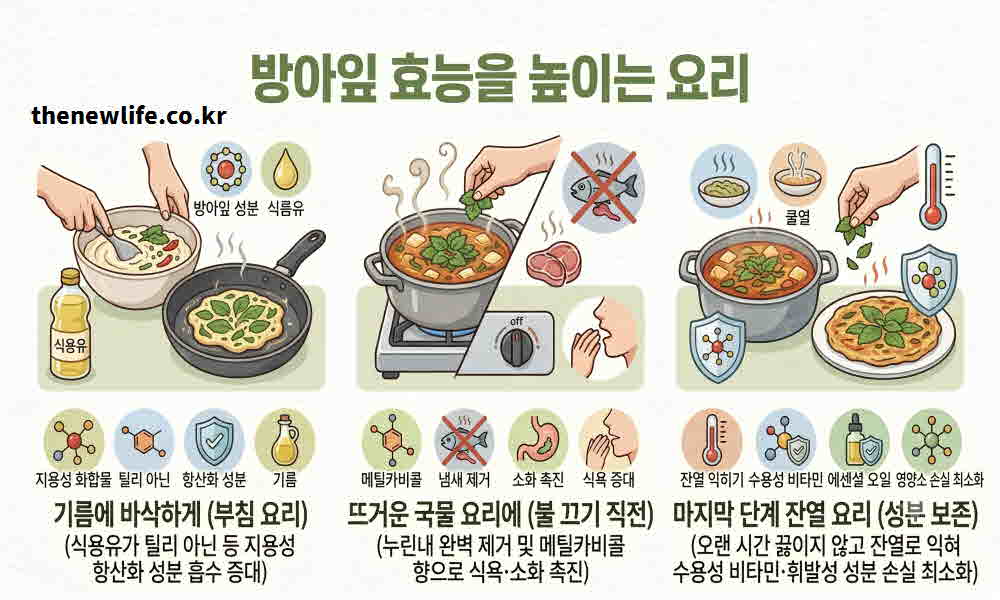방아잎 효능 높이는 요리