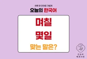 며칠 몇일 맞춤법 맞는표현_7