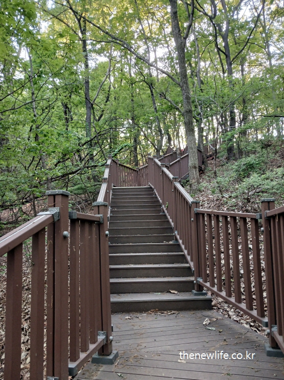 “Neatly installed brown wooden stairs in forest trail”
- “산책로에 깔끔하게 설치된 갈색 나무 계단”