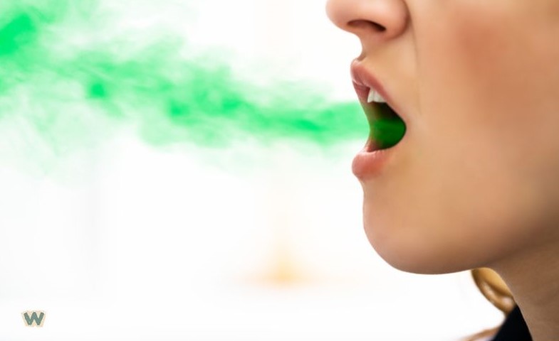 입에서 나오는 구취를 표현한 이미지, 입 냄새 원인과 해결 방법 via Canva