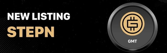 스테픈 코인 관련 사진